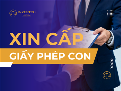 Xin cấp Giấy phép con